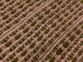 Handwoven Rug
