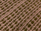 Handwoven Rug